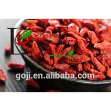 Offre SCM goji